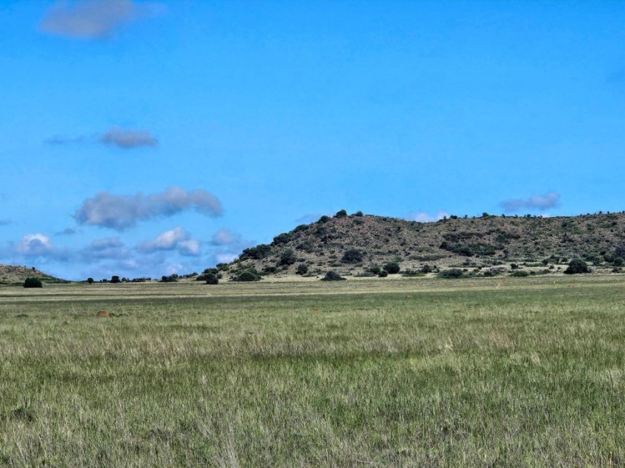 3 Bedroom Property for Sale in Bloemfontein Rural Free State